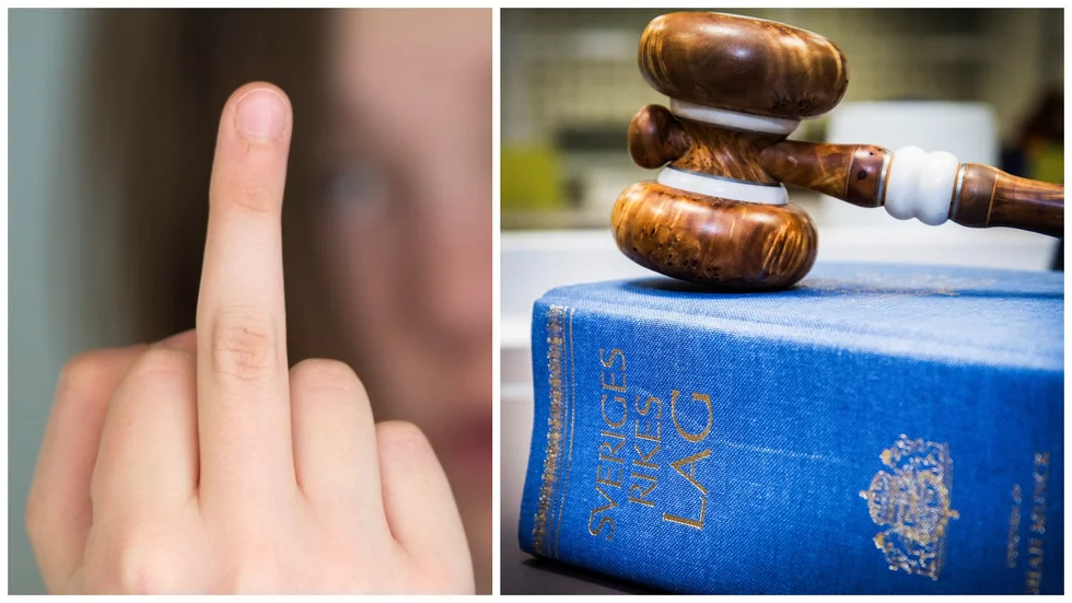 Många värdefulla handlingar i mänsklighetens historia har utförts av rebeller. Det skriver föräldrarna till förvaltningsrätten i Uppsala.