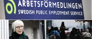 Ungdomsarbetslösheten på Gotland är lägst i Sverige • ”Besöksnäringen spelar stor roll”