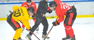 Luleå Hockey tillbaka på is – kaptenen: "Lättare blir det definitivt inte"