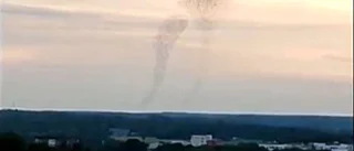 Kajsa fångade fågeltornado över Enköping på film • En gigantisk flock starar är sanningen bakom fenomenet 