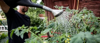Samla vatten för att minska bristen