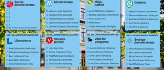 Här är de som slåss om din röst i nya regionvalet