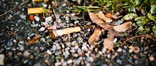 Fåtal böter för nedskräpning i Södermanland
