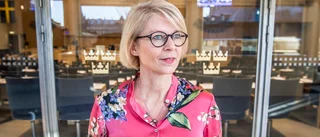Sveriges budget är ett bakvänt hafsverk