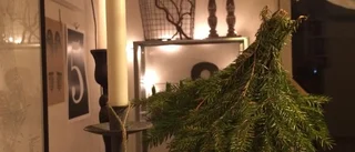 Julpynt med naturen som inspiration