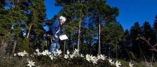 Hans har minst 2000 arter i huvudet