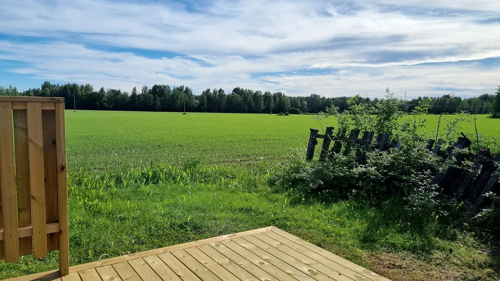  Vy över åkern från min nya altan i Hortlax.