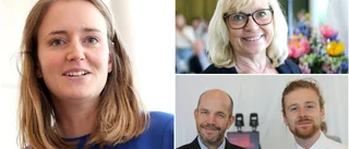 Experter från OECD har analyserat Gotland: "Gotland presterar bättre än liknande öar i EU" • Pekar även på stora utmaningar