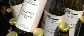 Fulbonäsölet skapar frågor