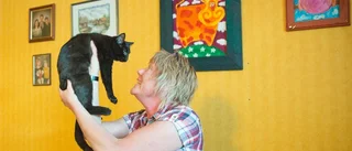 Tre tassar hjälper hemlösa katter