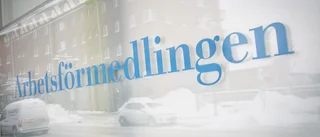 Grafik: Så är jobbläget i din kommun