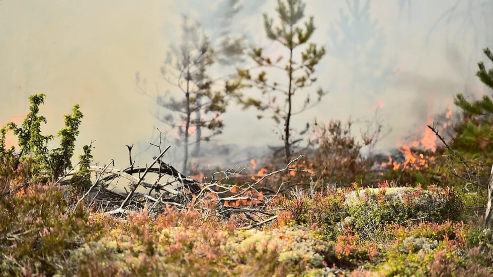 Torr mark och lite nederbörd gör att risken för skog- och gräsbränder ökar. Från och med i fredags är det eldningsförbud i hela Flens kommun.