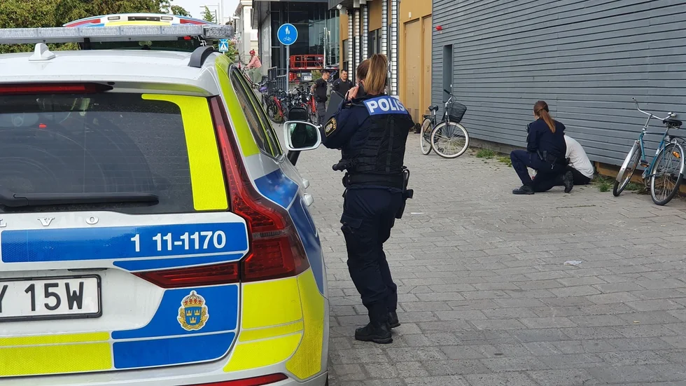 Ett flertal polispatruller kunde gripa de två tjuvarna.
