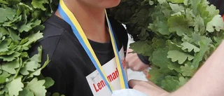 Många sprang 26:e Semesterloppet