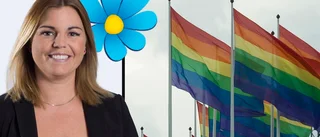 SD kritiska till Pride: "Är en rörelse som urartat"