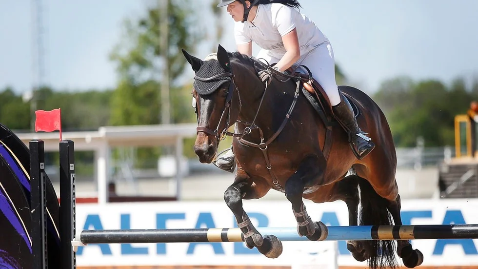 Nyby-Torshällas Emily Jarméus med sin häst Donna Molga kom på 14:e plats i Pantbanken Cup under söndagens finaltävlingar i gulddivisionen.