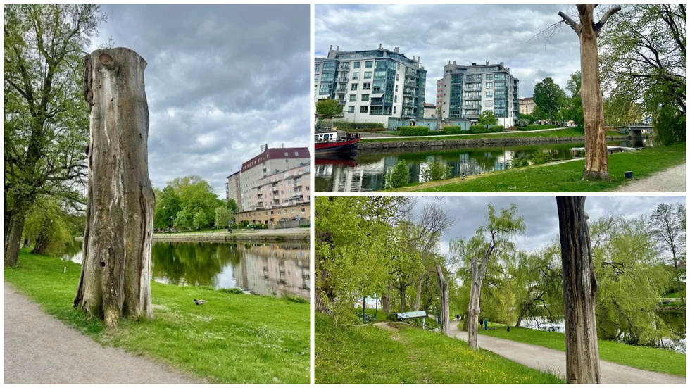 Betydelsefullt och vackert syfte, men ett fult inslag i stadsmiljön, menar insändarskribenten.