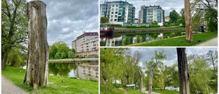 Boende i city: "Dödens pelare förfular Linköpings innerstad"