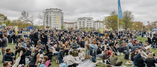 Mycket fylla – så många omhändertogs av polisen