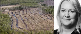 16 tomter släpps vid årsskiftet – så ser prisförslaget ut