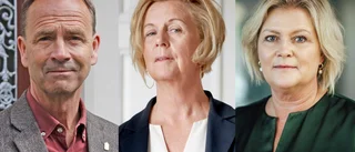 Elområdena snedvrider konkurrensen
