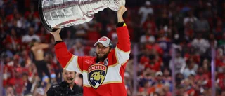 Före detta VIK-spelaren vann Stanley Cup