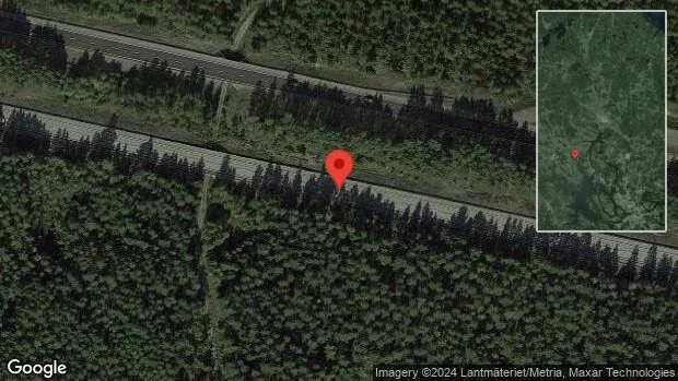 Vildsvin på fel sida av viltstängslet på E18