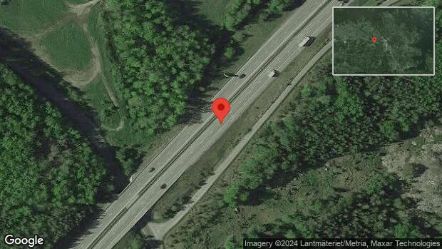 Rådjur innanför viltstängslet på E20