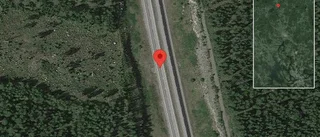 Rådjur på fel sida viltstängslet på E4
