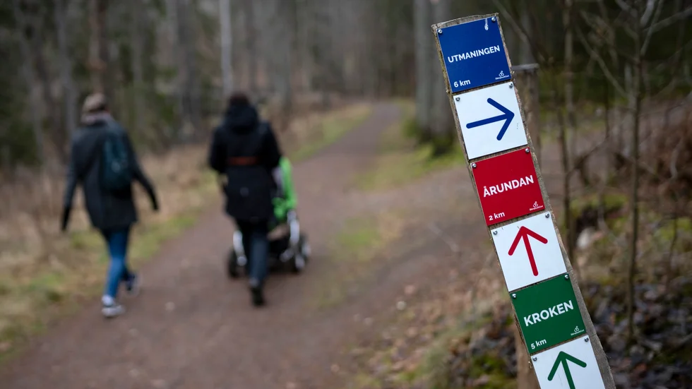 "De många vägarnas möjligheter där olikheter vi är skapta med ses berika och utvidga förståelsen av tillvaron där vi går mot målet".