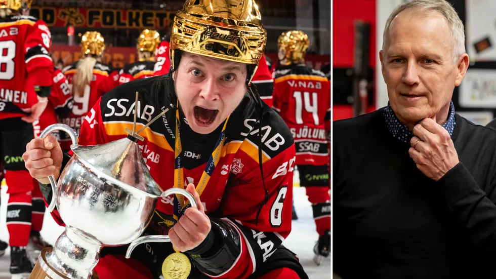 "Vi ska vara den tydliga motorn i svensk damhockey även om tio år", säger Stefan Enbom.