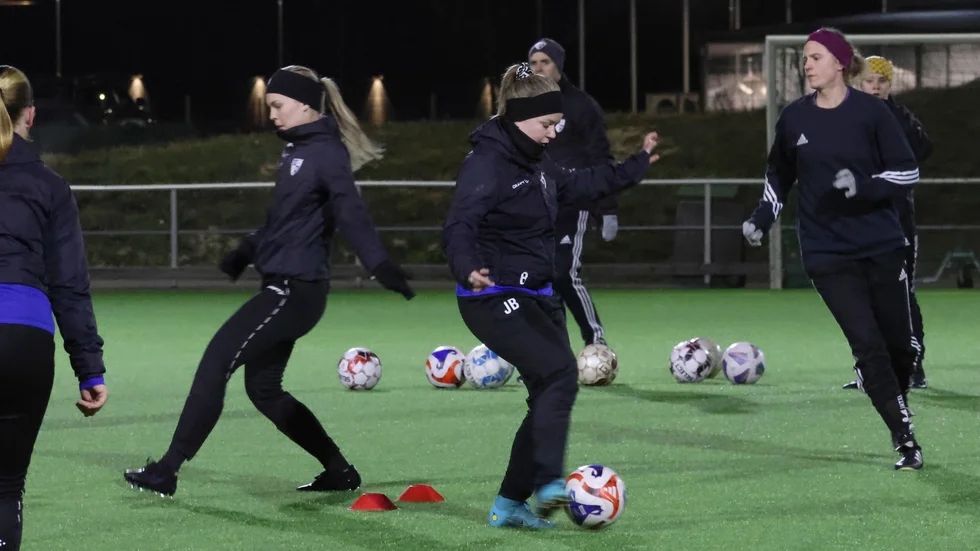 Frödinge har en trupp på 18 spelare med stor träningsvilja.