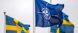 Sverige ska ställa upp – inte lägga sig platt