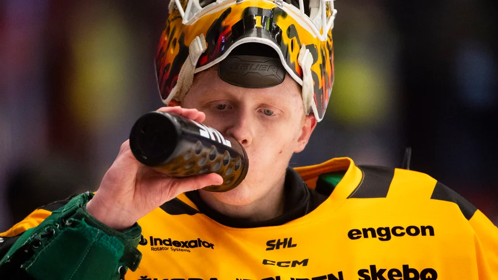 Alexander Hellnemo uppges vara klar för spel i Nybro nästa säsong.