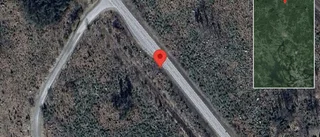 Träd över vägen påverkar trafiken på väg 292