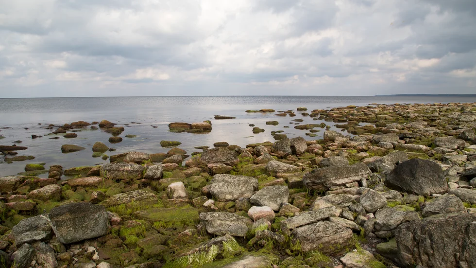 Ett skeppsvrak med bland annat champagneflaskor har hittats utanför Ölands kust. Arkivbild.