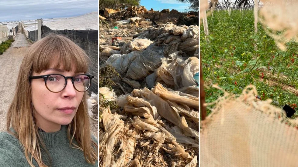 I sin bok och podd-dokumentär berättar Maja Alskog Bredberg om tomater i Almería, som odlas i död jord, med konstgödsel och genom besprutning. Grönsakerna säljs i våra vanliga livsmedelsbutiker.