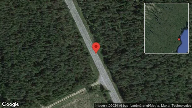 Älg på fel sida viltstängslet på E4