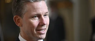 Regeringen vill skicka militär till Röda havet
