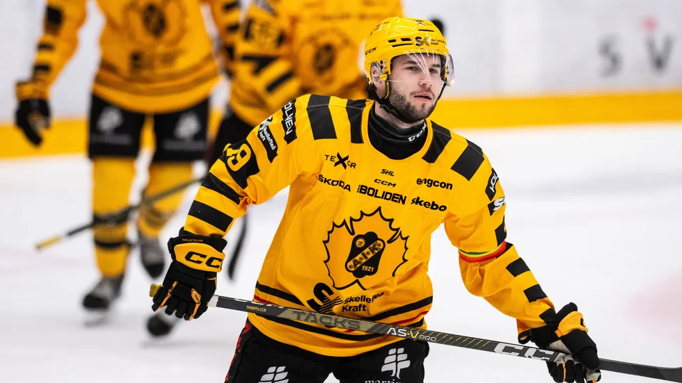 Martins Dzierkals satte 2–0 och sitt andra SHL-mål för säsongen i första perioden.