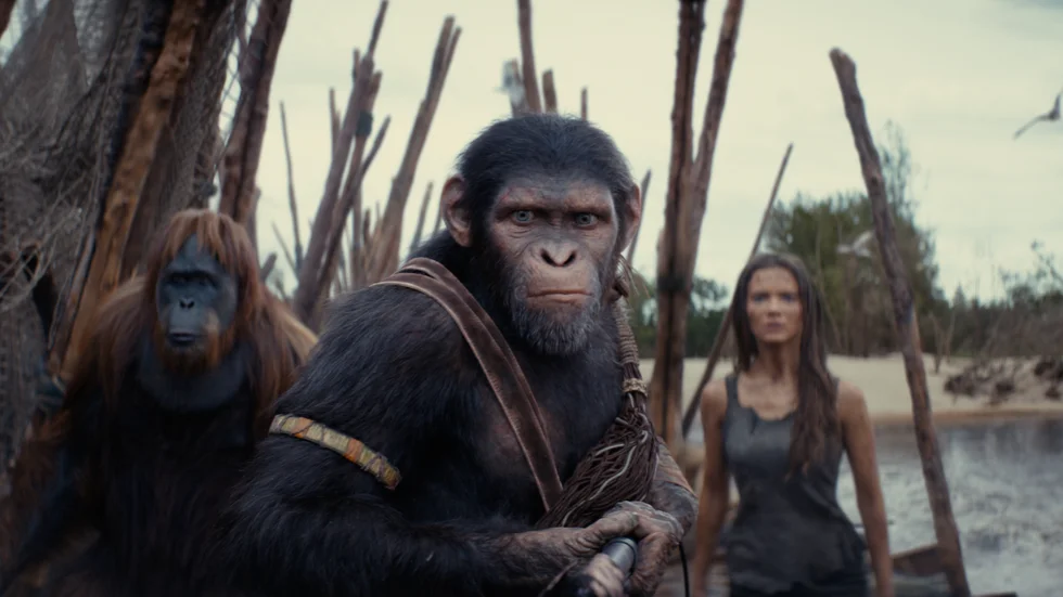 "Kingdom of the planet of the apes" är den senaste filmen i berättelsen om "Apornas planet". Den utspelar sig 300 år efter 2010-talets trilogi, men innan 1960-talets pentalogi.