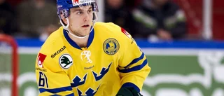 Glädjebeskedet: Förre Tre Kronor-spelaren klar för Visby Roma