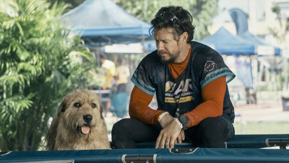 Mark Wahlberg med hund i filmen "Arthur the king". Pressbild.