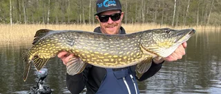 Henrik fick 0,9 meter gädda – mitt under intervjun