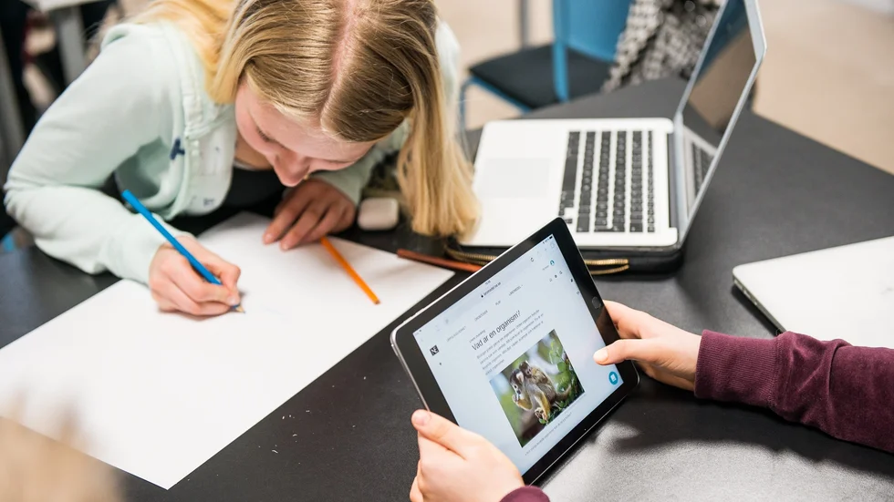 Tryggheten i skolan är viktig och stora skolor ger en sämre överblick och trygghet, enligt insändarskribenten.