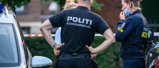 17 svenskar häktade för grova brott i Danmark