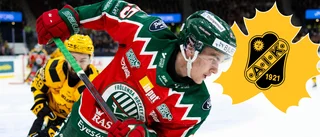 AIK värvar från SHL-konkurrenten: ”Väldigt intressant spelare ”