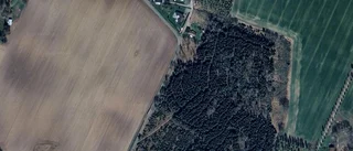 Tomten på Brånshult 564 i Borensberg har fått ny ägare