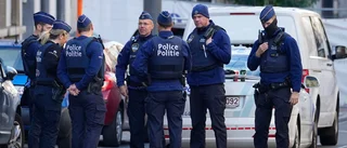 Sju gripna i Belgien för misstänkt terrorplan