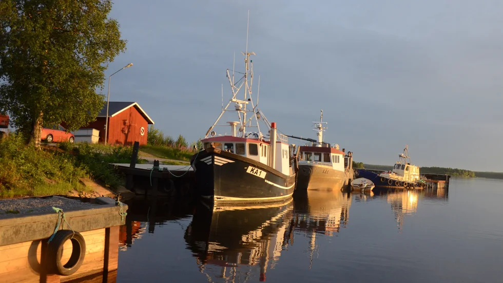 Småbåtar i sommarsolen. En vacker sommarkväll gav sig Lennart Haara ut till olika småbåtshamnar i Kalix och lät kameran gå varm. Han skickade bland annat in denna vackra bild.